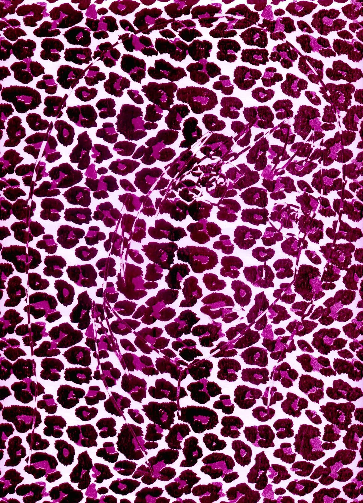 Leopard Print Pink And Black Pictures