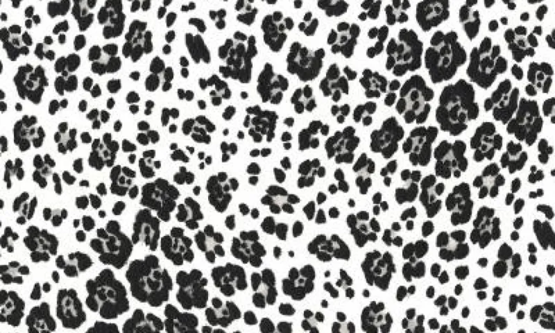 Leopard Print Wallpapers - Android Apps on Google Play