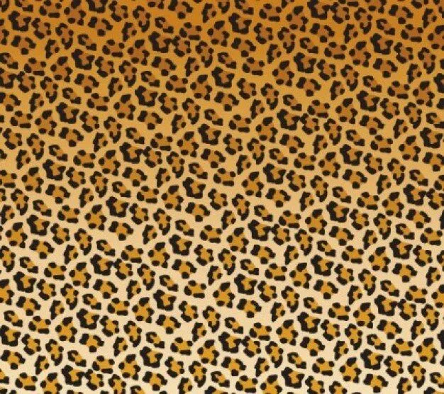 Leopard spots patrón | Descargar Vectores gratis Leopard spots patrón | Descargar Vectores gratis