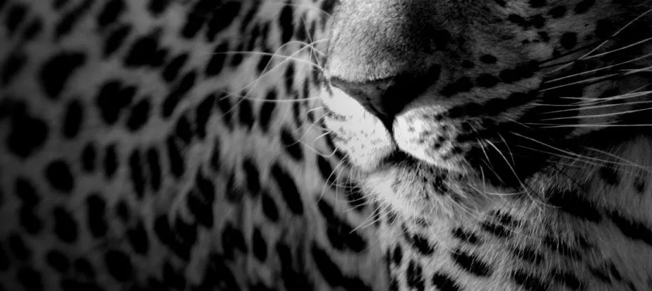 Nicole Bobermin - About - Google+