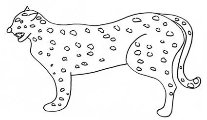 Leopardo da colorare - Cose Per Crescere