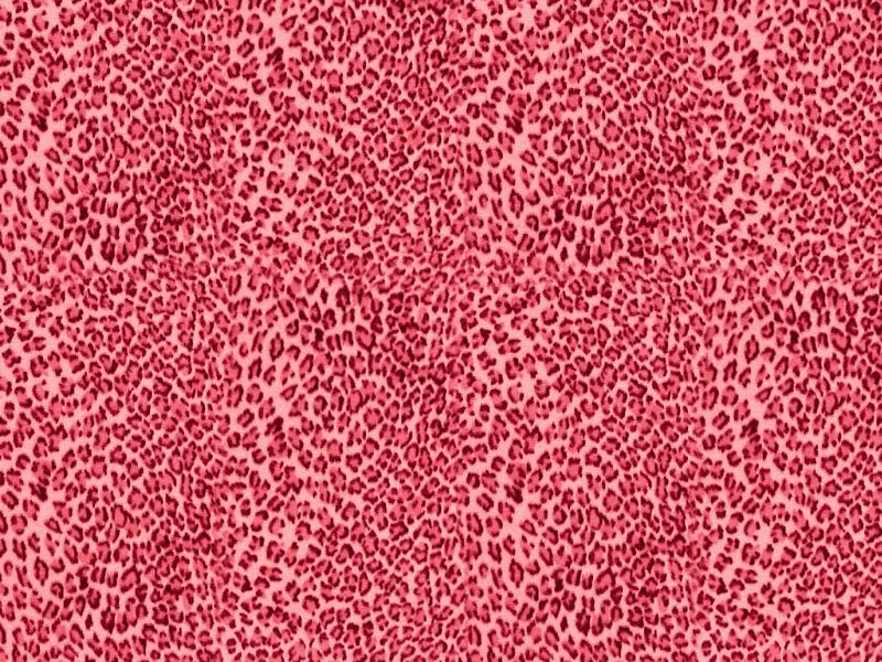 Leopardo de colores fondo - Imagui