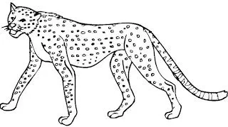 Imágenes de jaguares para colorear - Imagui Imágenes de jaguares para colorear - Imagui