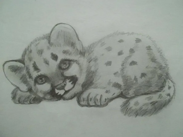 Leopardo. Dibujo a Lápiz. Carina Malarchia | Mis dibujos a Lapiz ... Leopardo. Dibujo a Lápiz. Carina Malarchia | Mis dibujos a Lapiz ...