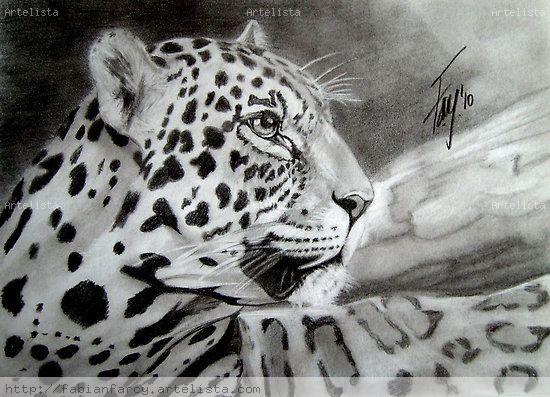 LEOPARDO FABIAN FARCY - Artelista.com