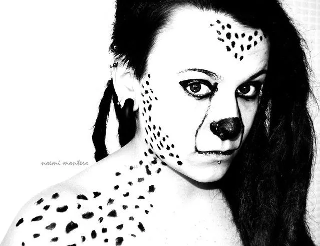 Leopardo | Flickr - Photo Sharing!