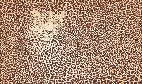 Leopardo de fondo de patrón — Vector stock © vlado #10950933 Leopardo de fondo de patrón — Vector stock © vlado #10950933