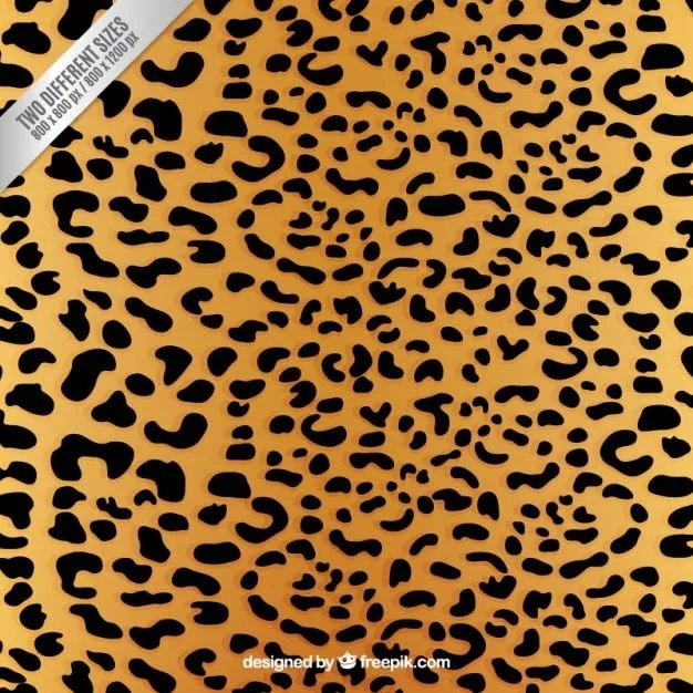 Leopardo | Fotos y Vectores gratis