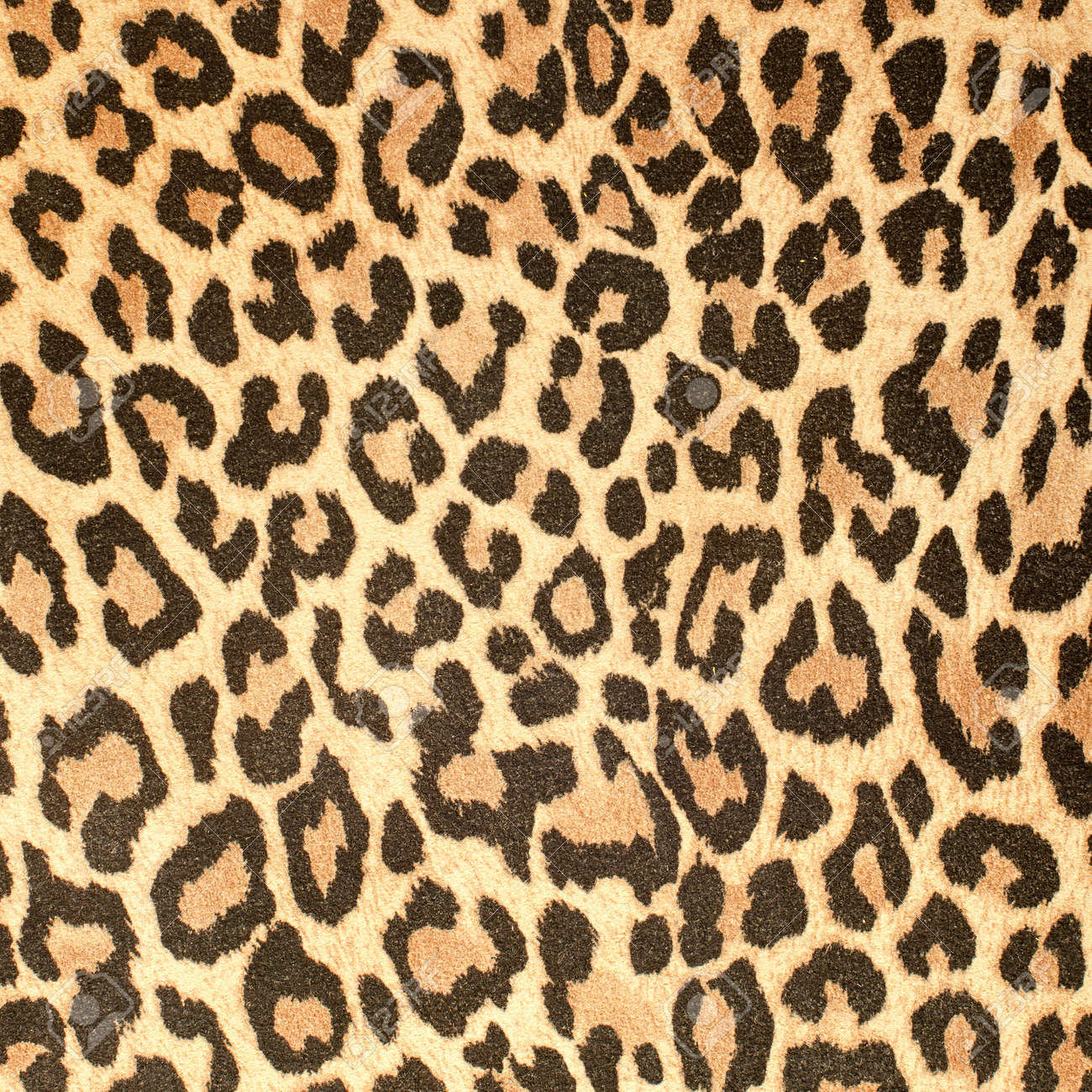 Leopardo Imágenes De Archivo, Vectores, Leopardo Fotos Libres De ...