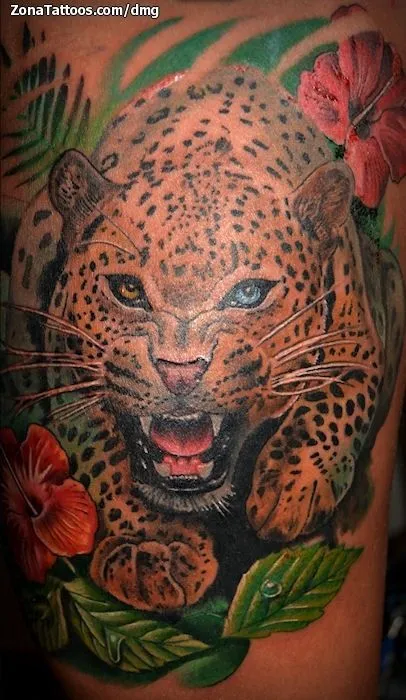 leopardos - Browse image and gifs tagged by leopardos leopardos - Browse image and gifs tagged by leopardos