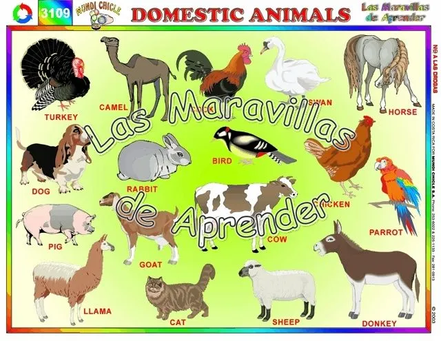 Let me teach you about animals!: 2010-