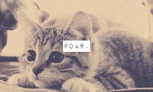 letheoceandrain: roar on We Heart It. Happy...