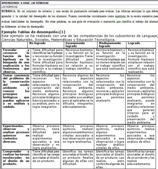 Leticia Romo | A World Dedicated To School