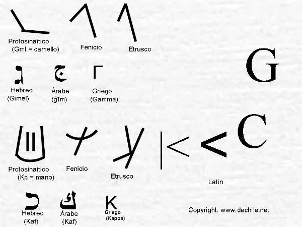Letra C