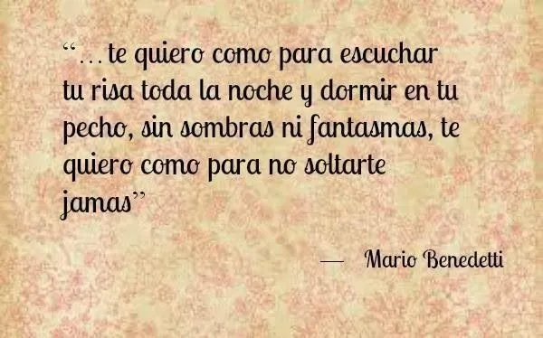 Letras y libros