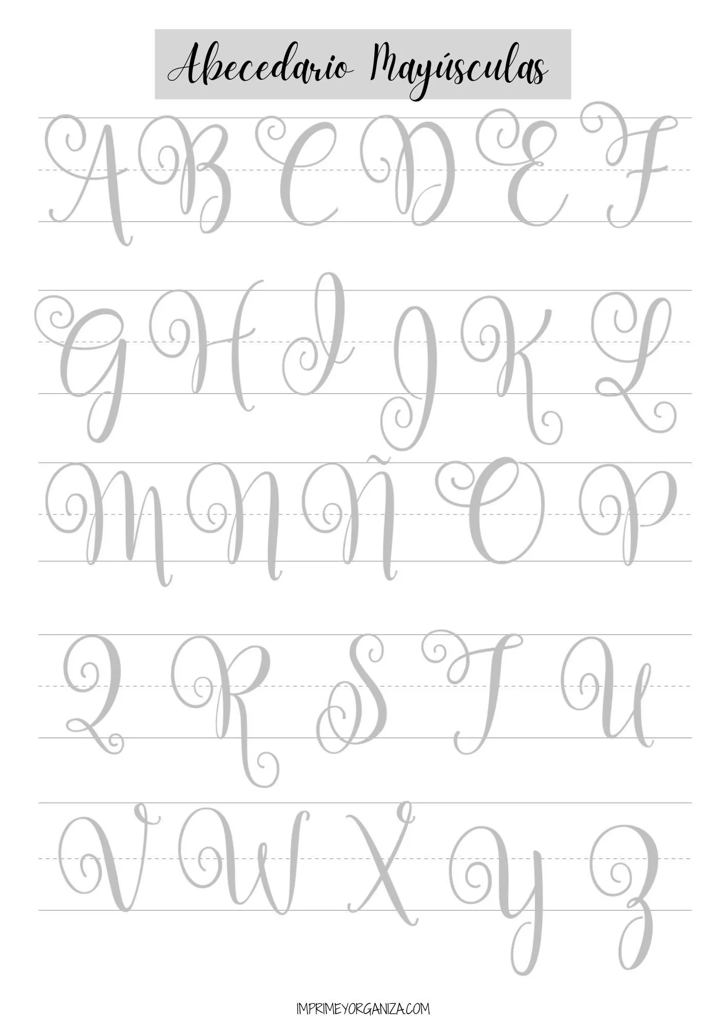 Lettering - Imprime y Organiza