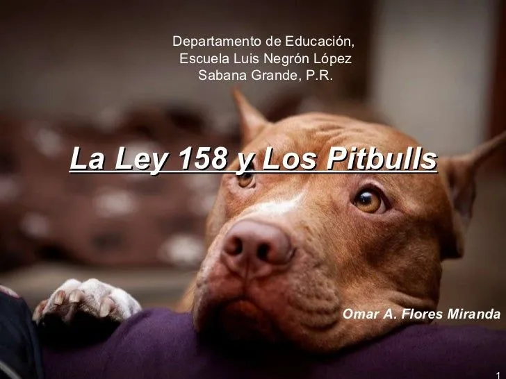 La ley 158 y los pitbulls