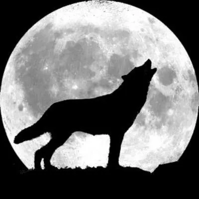 El Blog de Robin Hood: La leyenda del lobo y la Luna - Elfos ... El Blog de Robin Hood: La leyenda del lobo y la Luna - Elfos ...