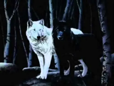 La leyenda de los dos lobos - YouTube