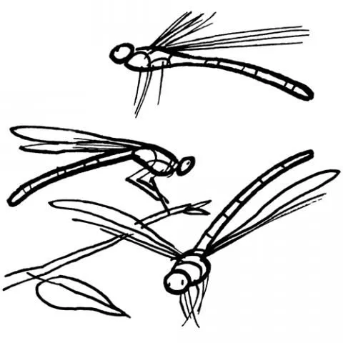 Libelulas para colorear bonitas - Imagui