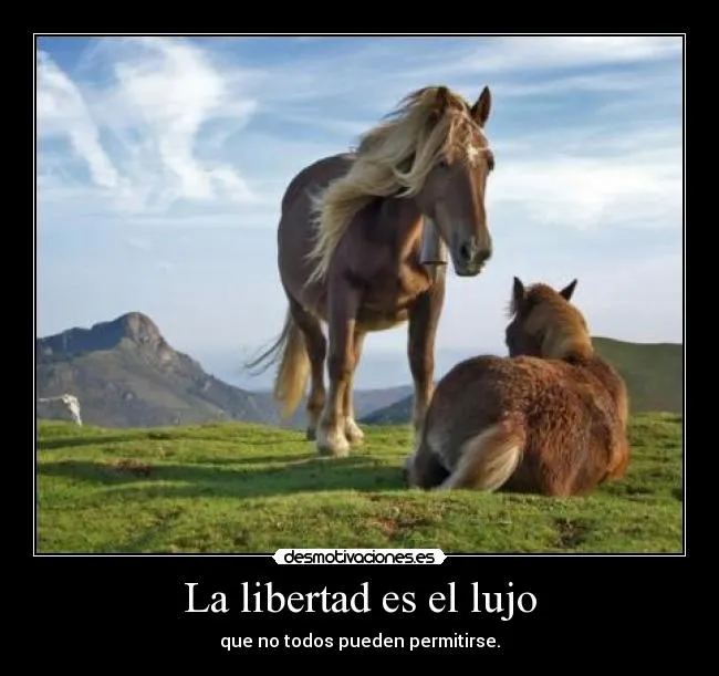La libertad es el lujo | Desmotivaciones