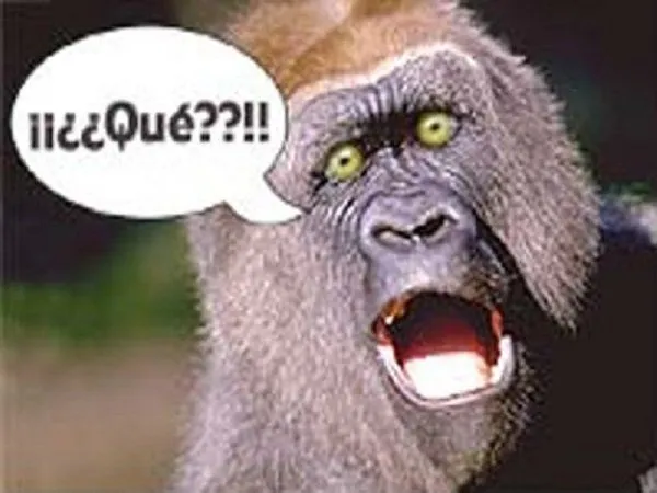 Libertad, Preciado Tesoro : ¡100 cosas curiosas que posiblemente ... Libertad, Preciado Tesoro : ¡100 cosas curiosas que posiblemente ...