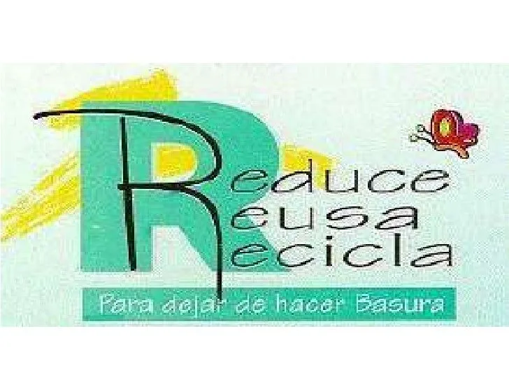 Libro de actividades para niños