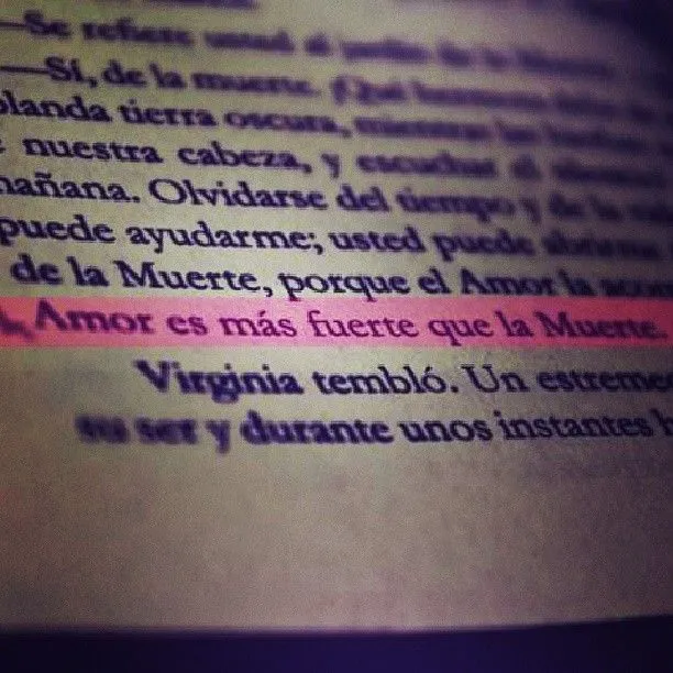 libro #boocks #fun #funny #young #hipsterfashion #hipster #frases ... libro #boocks #fun #funny #young #hipsterfashion #hipster #frases ...