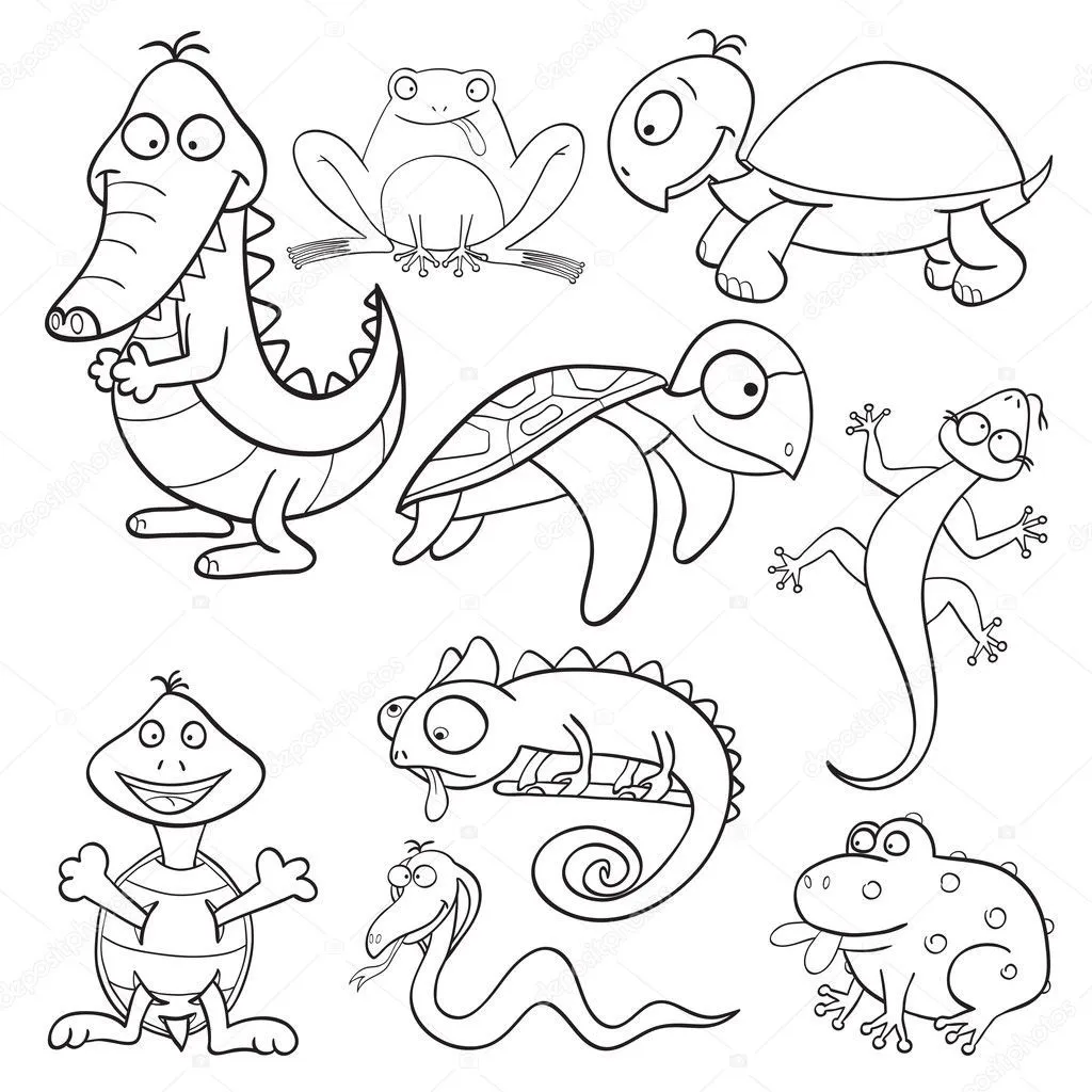 libro de colorear con reptiles y anfibios — Vector stock © jenpo5 # libro de colorear con reptiles y anfibios — Vector stock © jenpo5 #