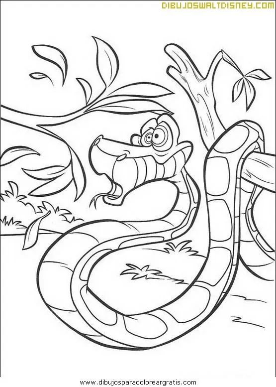 libro-selva-para-pintar.jpg libro-selva-para-pintar.jpg