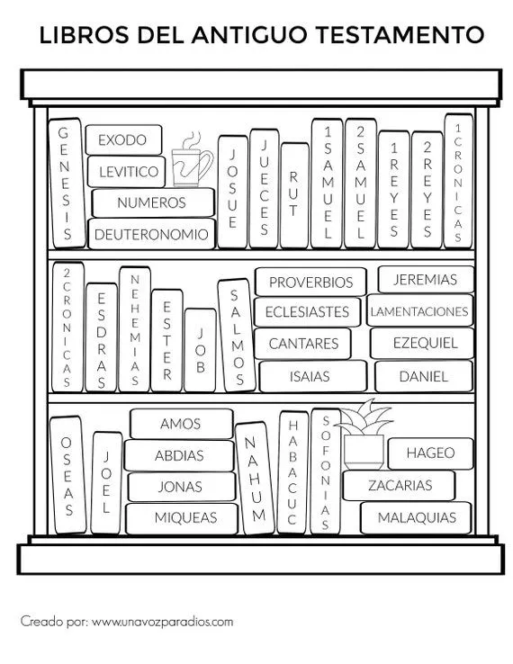 Libros del Antiguo Testamento Hoja para Colorear Coloring - Etsy México Libros del Antiguo Testamento Hoja para Colorear Coloring - Etsy México