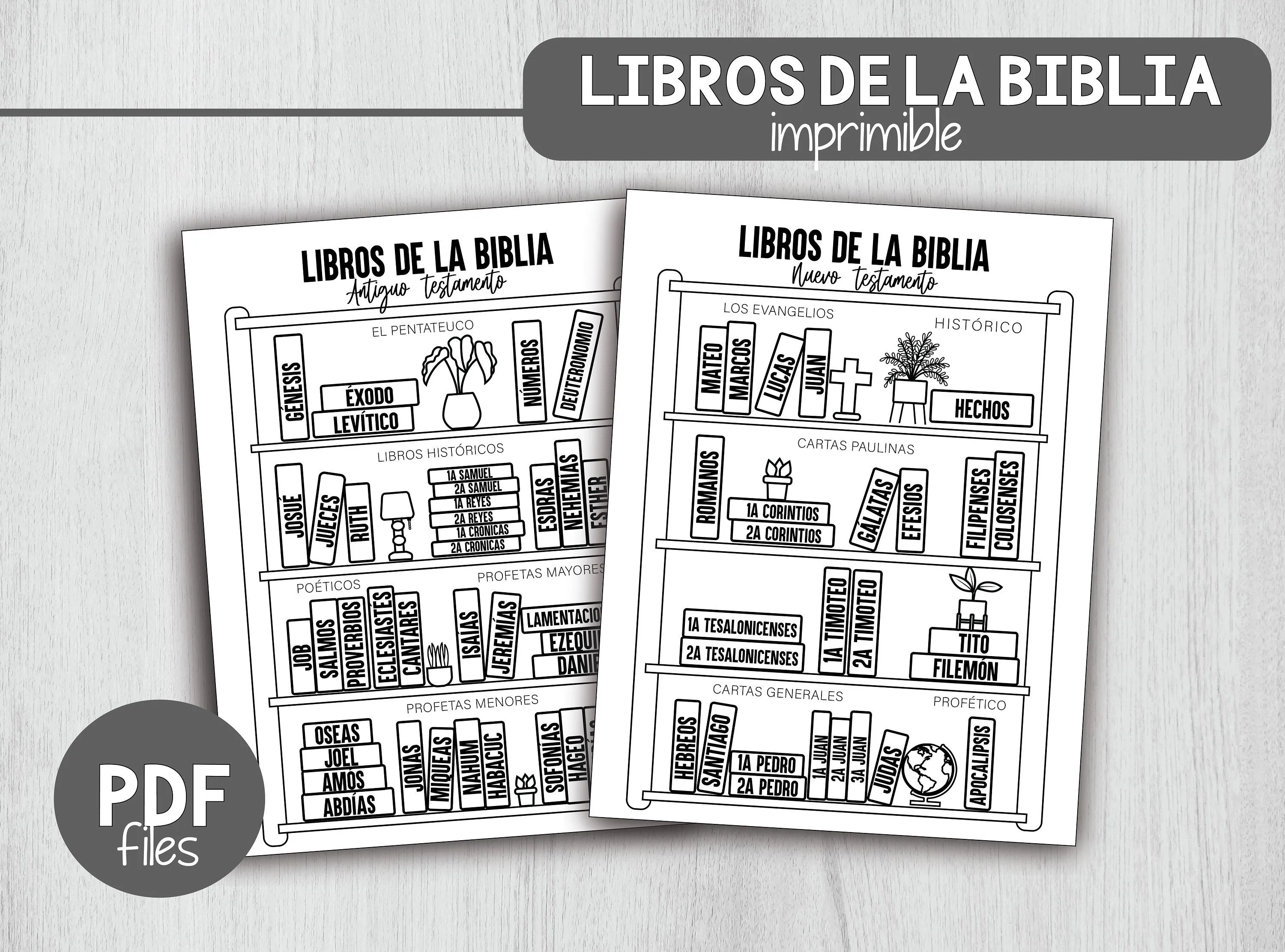 Libros de la Biblia checklist lectura de la biblia actividad - Etsy España Libros de la Biblia checklist lectura de la biblia actividad - Etsy España