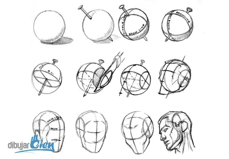 Libros para dibujar: Andrew Loomis el Gran Maestro - DibujarBien ... Libros para dibujar: Andrew Loomis el Gran Maestro - DibujarBien ...