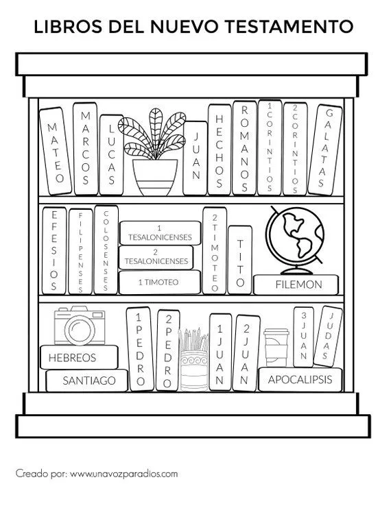 Libros del Nuevo Testamento Hoja para Colorear Coloring - Etsy España Libros del Nuevo Testamento Hoja para Colorear Coloring - Etsy España