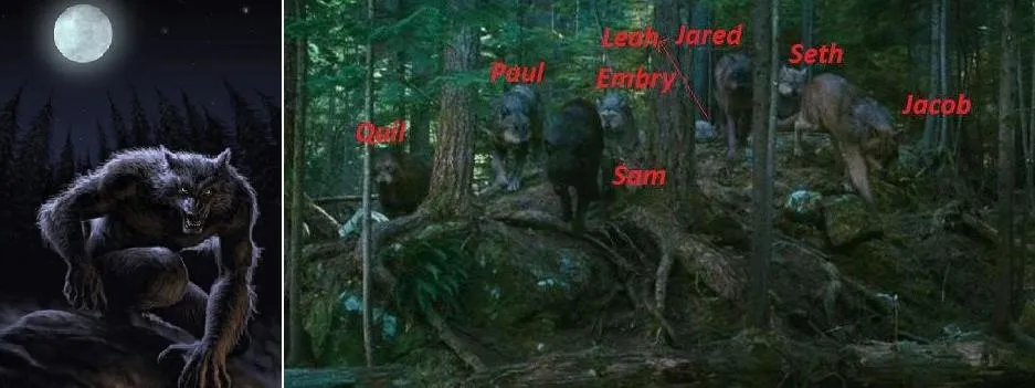 Licántropos y Hombres Lobos. (Van Helsing, Remus Lupin, Fenrir ...
