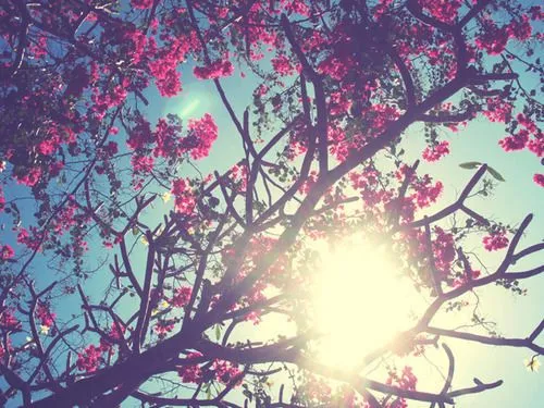 Liebe Hintergrund Tumblr - Resim