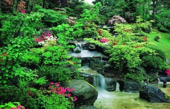 Lienzo cuadro Cascada y flores