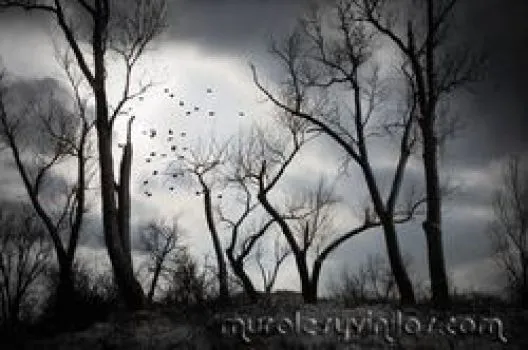 lienzo-mural-tenebroso-bosque.jpg