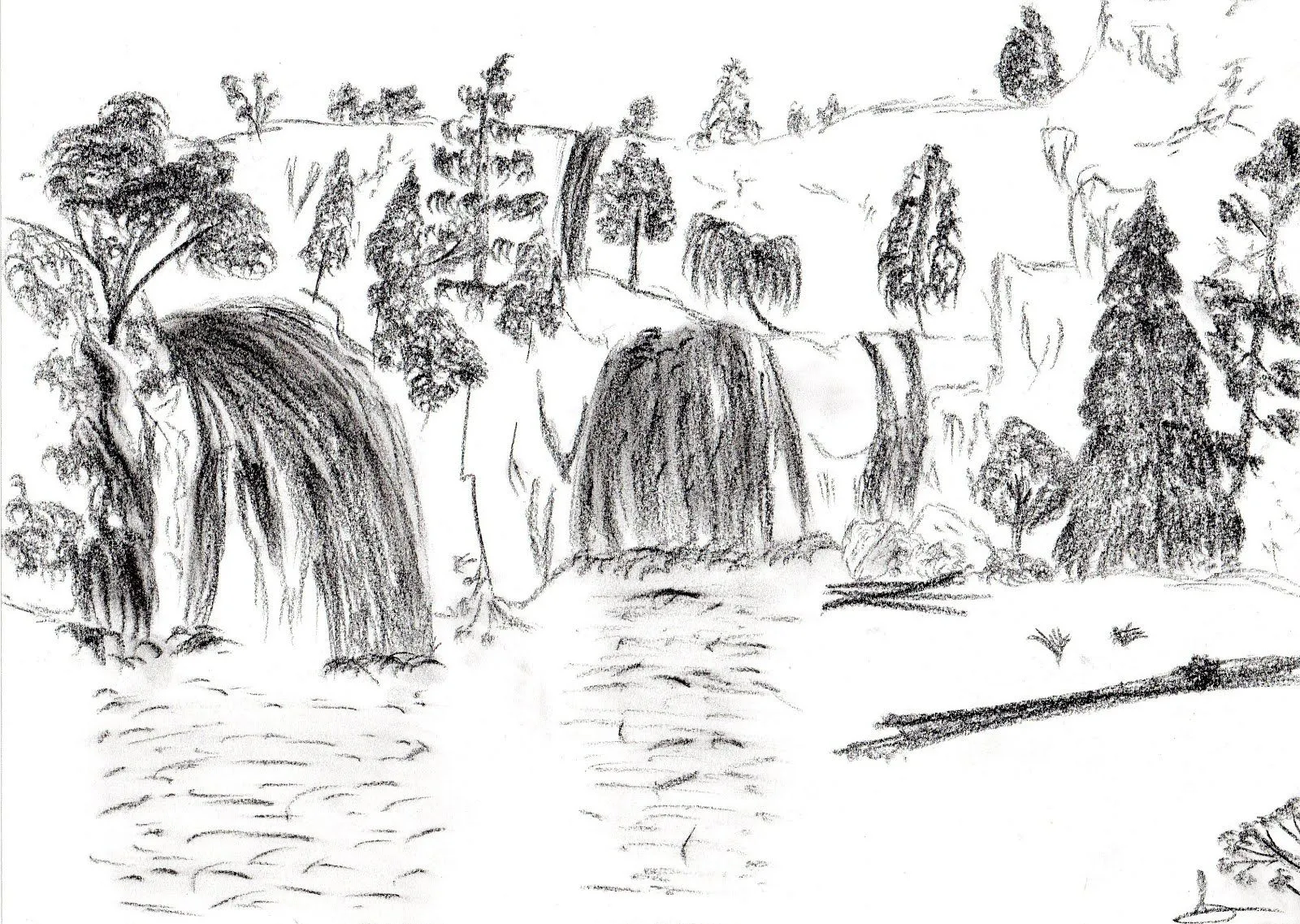 El Lienzo De Papel: Mi primer dibujo en carbonillo El Lienzo De Papel: Mi primer dibujo en carbonillo