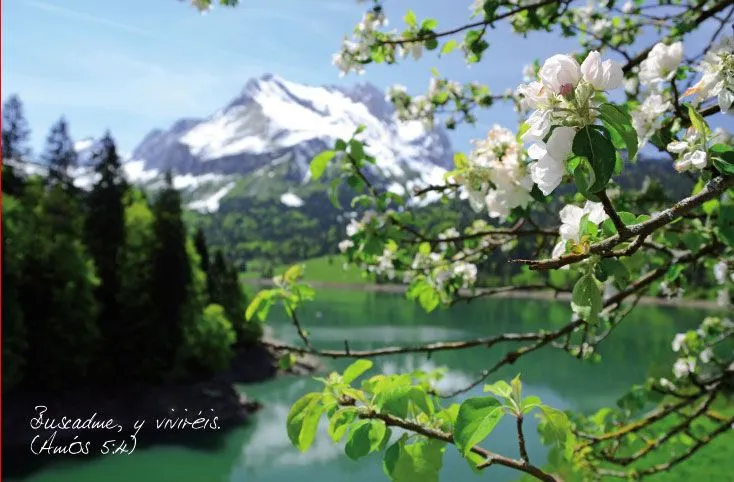 Lienzos con paisajes y versículos bíblicos. Pag: 1