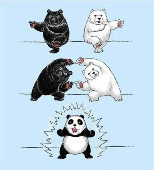 Life. Love. Regrets., Y así nació el oso panda.