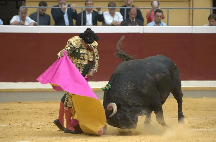 No es ligar, es torear! ~ Descabellos