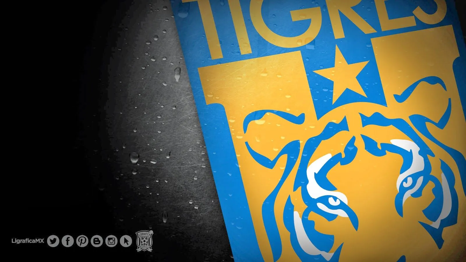 Ligrafica MX: Liga Bancomer MX • 130314CTG( Ligrafica MX: Liga Bancomer MX • 130314CTG(