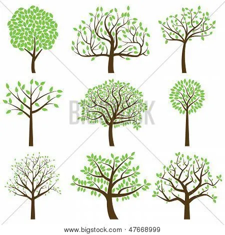 Limb Vectors, Stock Photos & Illustrations | Bigstock Limb Vectors, Stock Photos & Illustrations | Bigstock