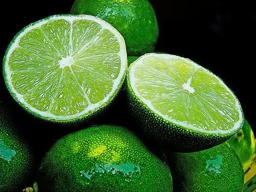 El Limon (Limonero) ~ ~* Jardin Botanico