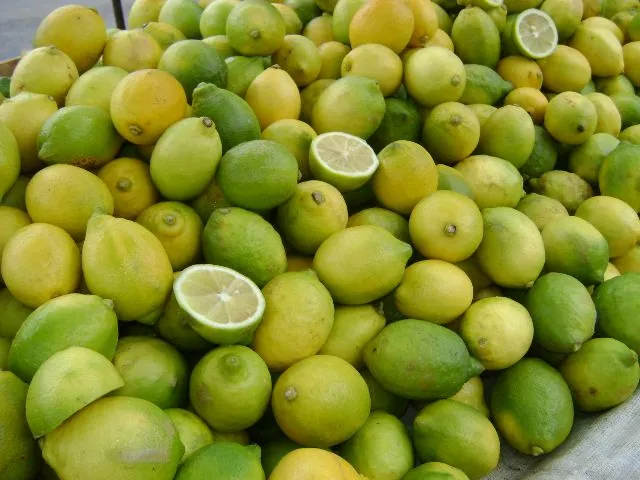 Limones — Comprar Limones, Precio de , Fotos de Limones, de Frumag ... Limones — Comprar Limones, Precio de , Fotos de Limones, de Frumag ...