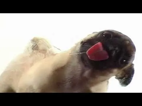 Limpia tu Pantalla► - YouTube
