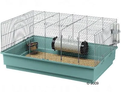 Cómo limpiar la jaula del Hamster? | Como Limpiar Cómo limpiar la jaula del Hamster? | Como Limpiar