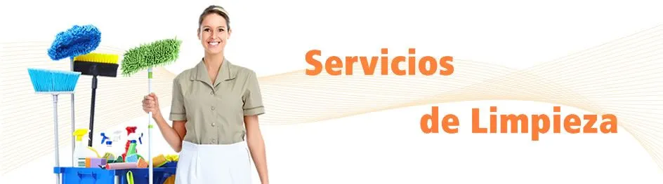 Limpieza profesional | Seproser