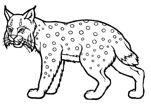 LINCE IBERICO DIBUJOS PARA COLOREAR | Dibujos para colorear LINCE IBERICO DIBUJOS PARA COLOREAR | Dibujos para colorear